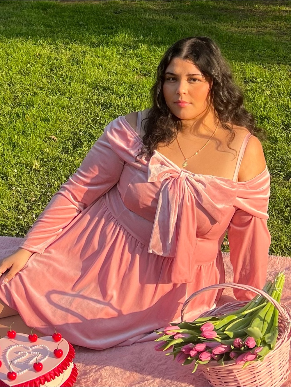 Dreamy Pink Velvet Bow Dress